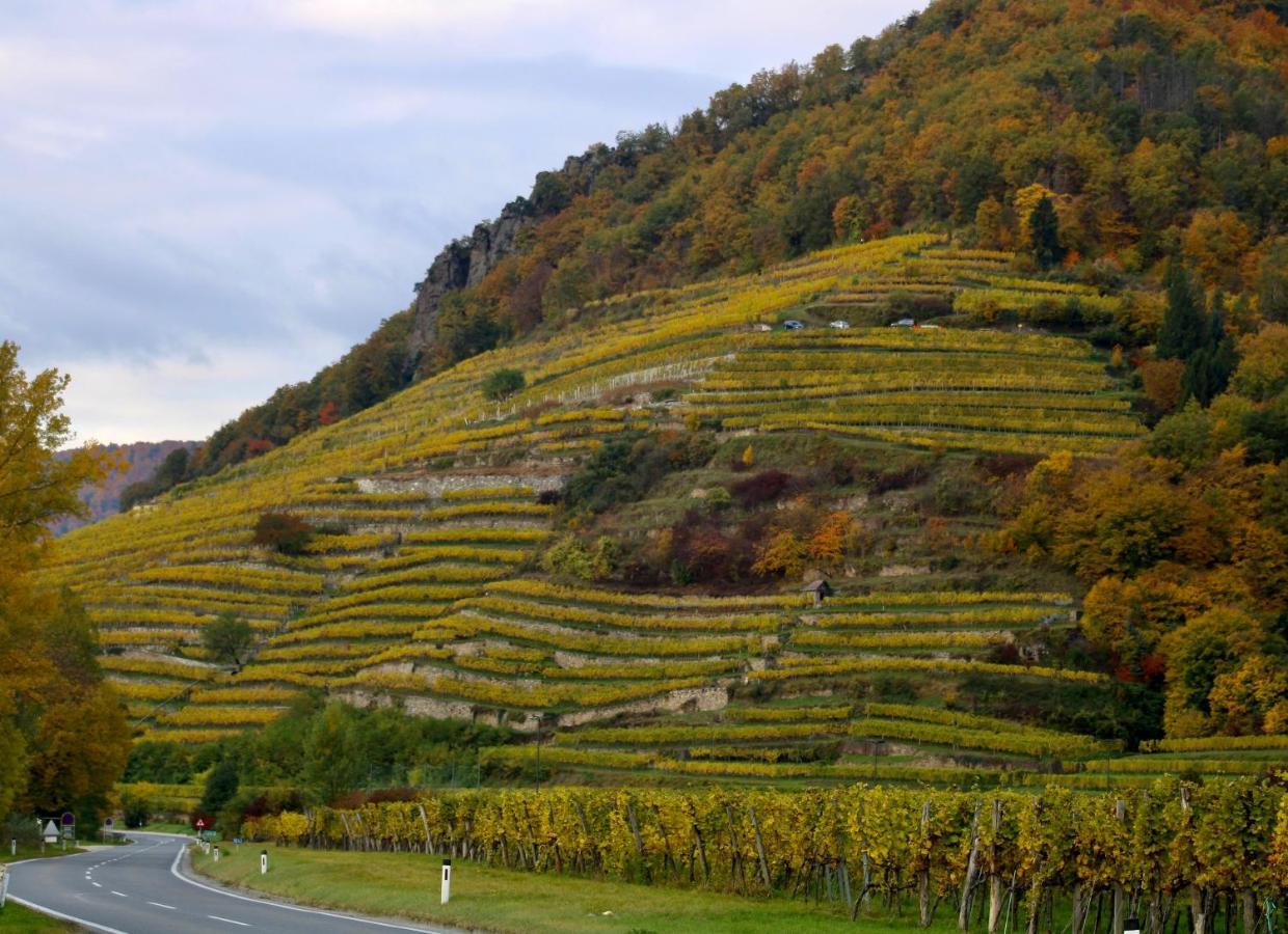 Aggsbach Haus-Donau In Der Wachau 아파트 외부 사진
