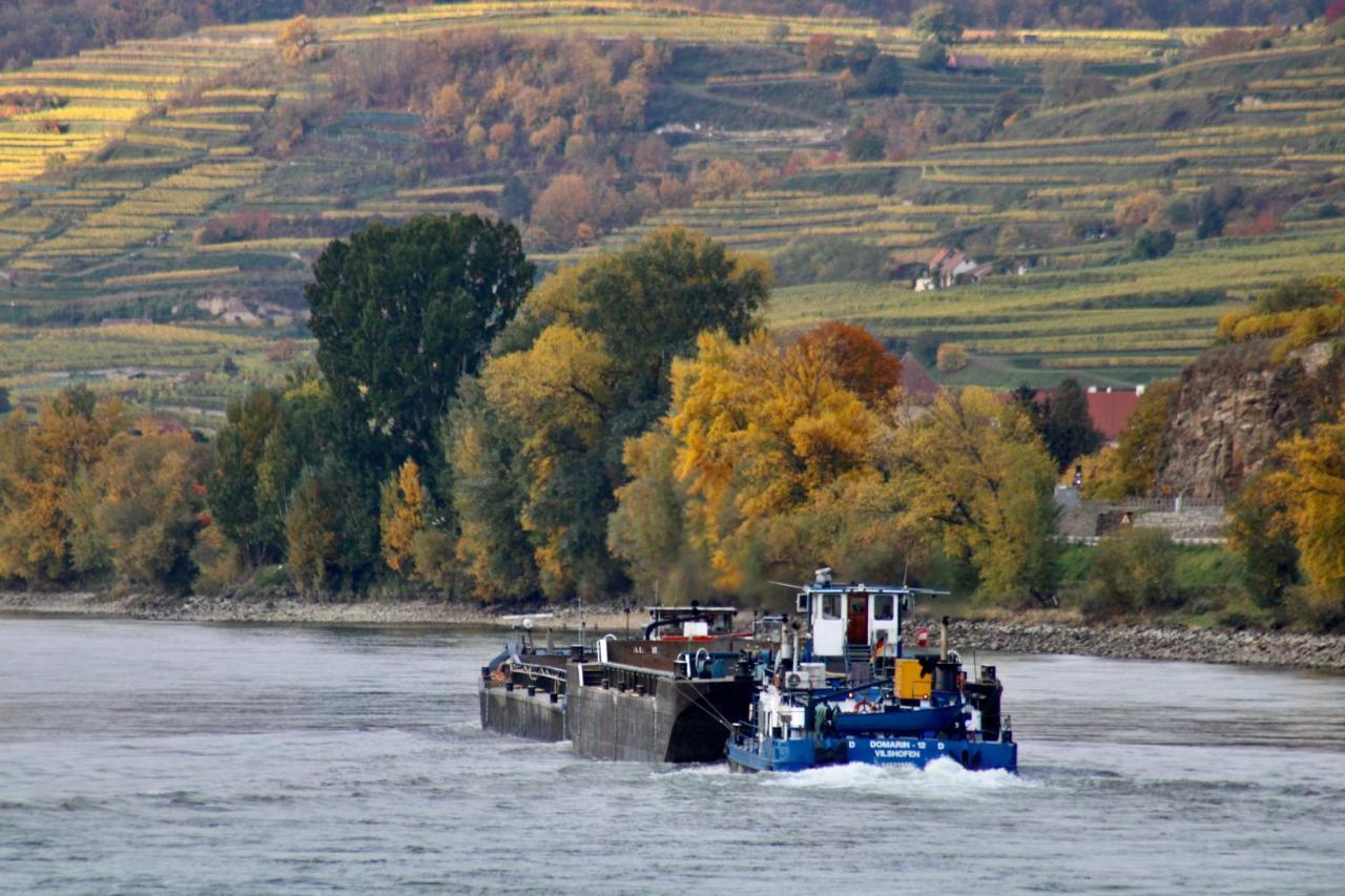 Aggsbach Haus-Donau In Der Wachau 아파트 외부 사진