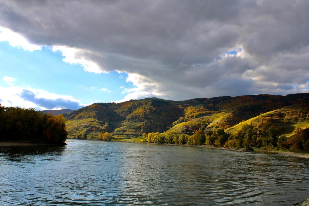 Aggsbach Haus-Donau In Der Wachau 아파트 외부 사진