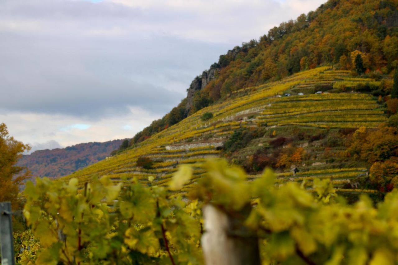 Aggsbach Haus-Donau In Der Wachau 아파트 외부 사진