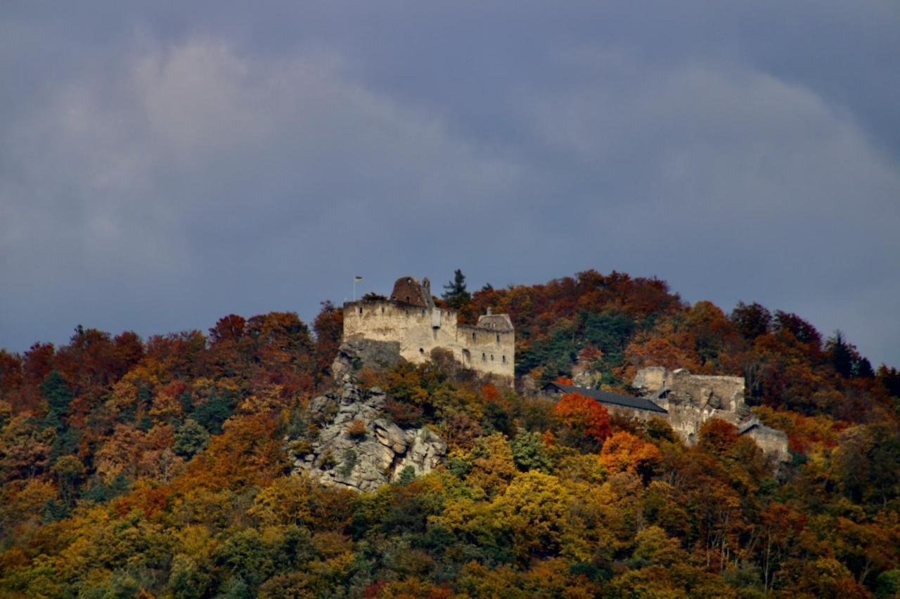 Aggsbach Haus-Donau In Der Wachau 아파트 외부 사진